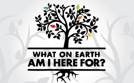 what-on-earth-am-i-here-for
